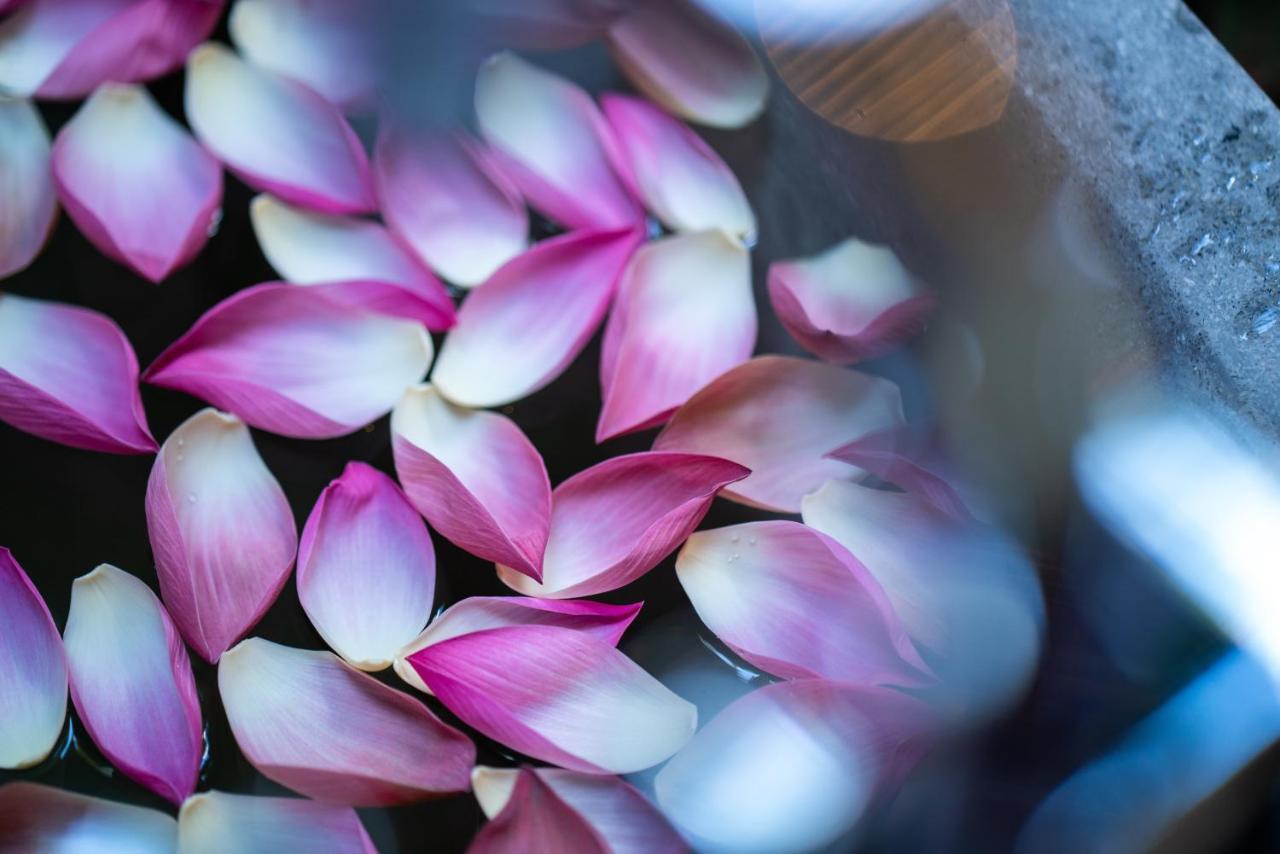 Shintana Saya La Maison Сиемрип Экстерьер фото Lotus petals